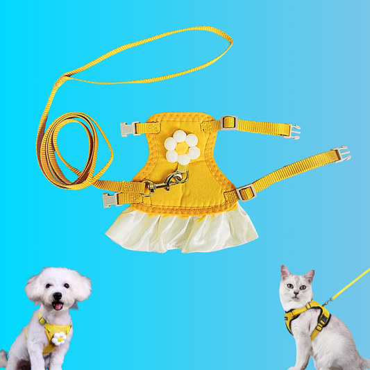 Adjustable Pet Harness and Nylon Leash for Dogs and Cats