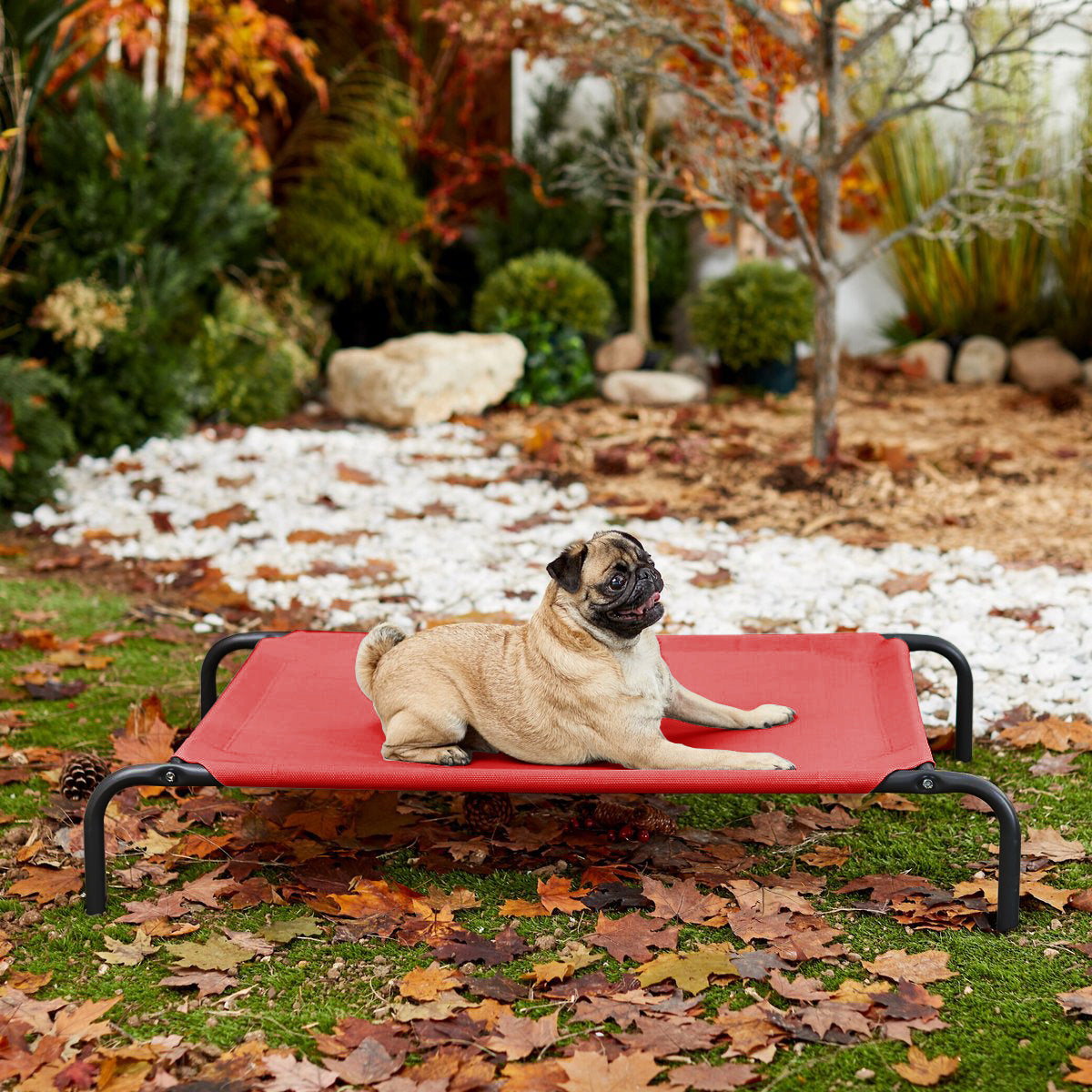 Red Elevated Raised Cooling Cots Bed for Dogs, Cats Portable Indoor & Outdoor Pet Hammock with Skid-Resistant Feet, Frame with Breathable Canvas Cloth.