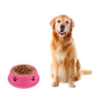 large size 800ML Pets Empire Dog Bowl