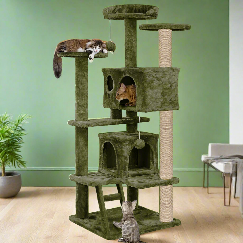GREEN