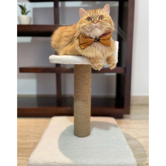 furrlovers Soft Fur Cat Scratching Post Activity Tree with Sisal Rope (White)