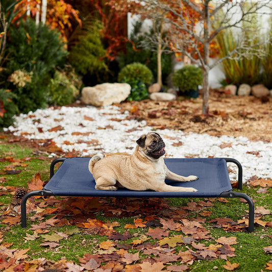 Blue Elevated Raised Cooling Cots Bed for Dogs, Cats Portable Indoor & Outdoor Pet Hammock with Skid-Resistant Feet, Frame with Breathable Canvas Cloth.
