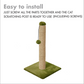 
Scratching Post Cat Kitten Tree | Dangling Ball |green