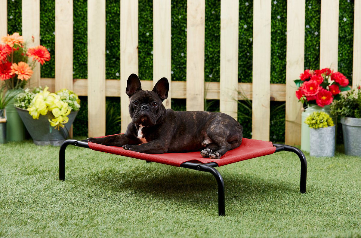 Red Elevated Raised Cooling Cots Bed for Dogs, Cats Portable Indoor & Outdoor Pet Hammock with Skid-Resistant Feet, Frame with Breathable Canvas Cloth.