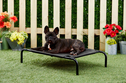 Black Elevated Raised Cooling Cots Bed for Dogs, Cats Portable Indoor & Outdoor Pet Hammock with Skid-Resistant Feet, Frame with Breathable Canvas Cloth.