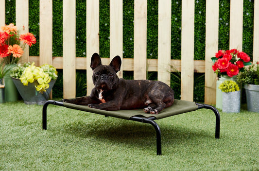 Green Elevated Raised Cooling Cots Bed for Dogs, Cats Portable Indoor & Outdoor Pet Hammock with Skid-Resistant Feet, Frame with Breathable Canvas Cloth. (GREEN)
