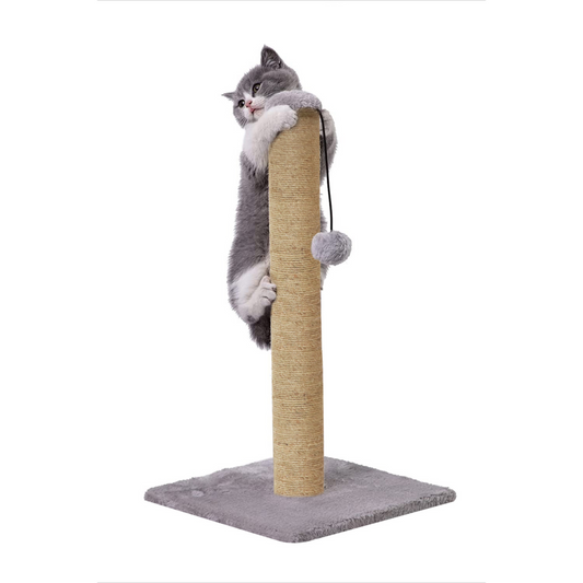 
Scratching Post Cat Kitten Tree | Dangling Ball for cats