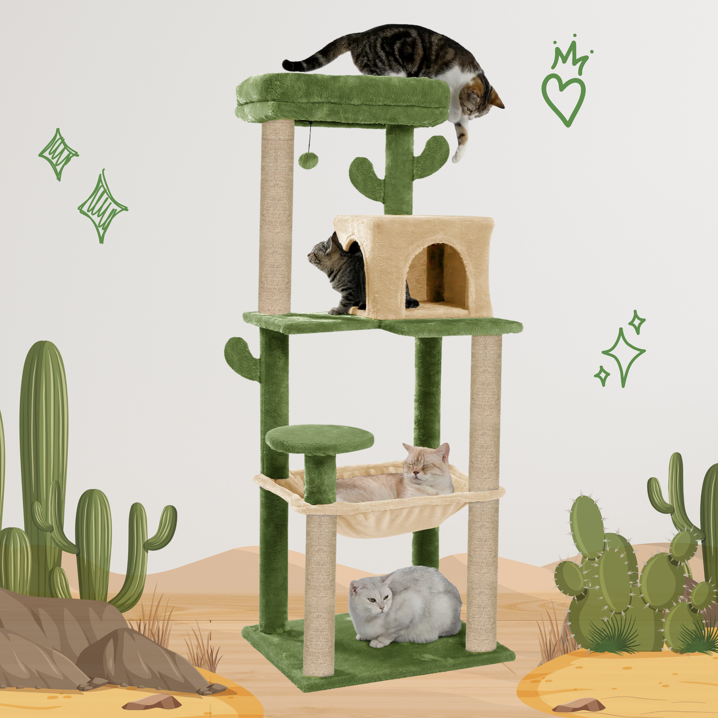 CACTUS