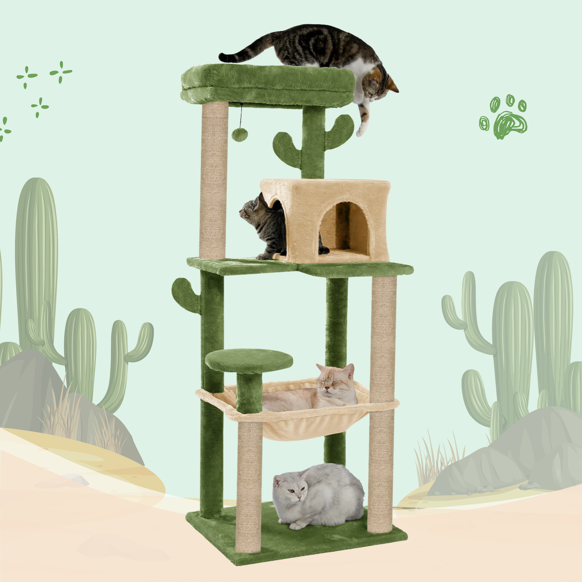 CACTUS
