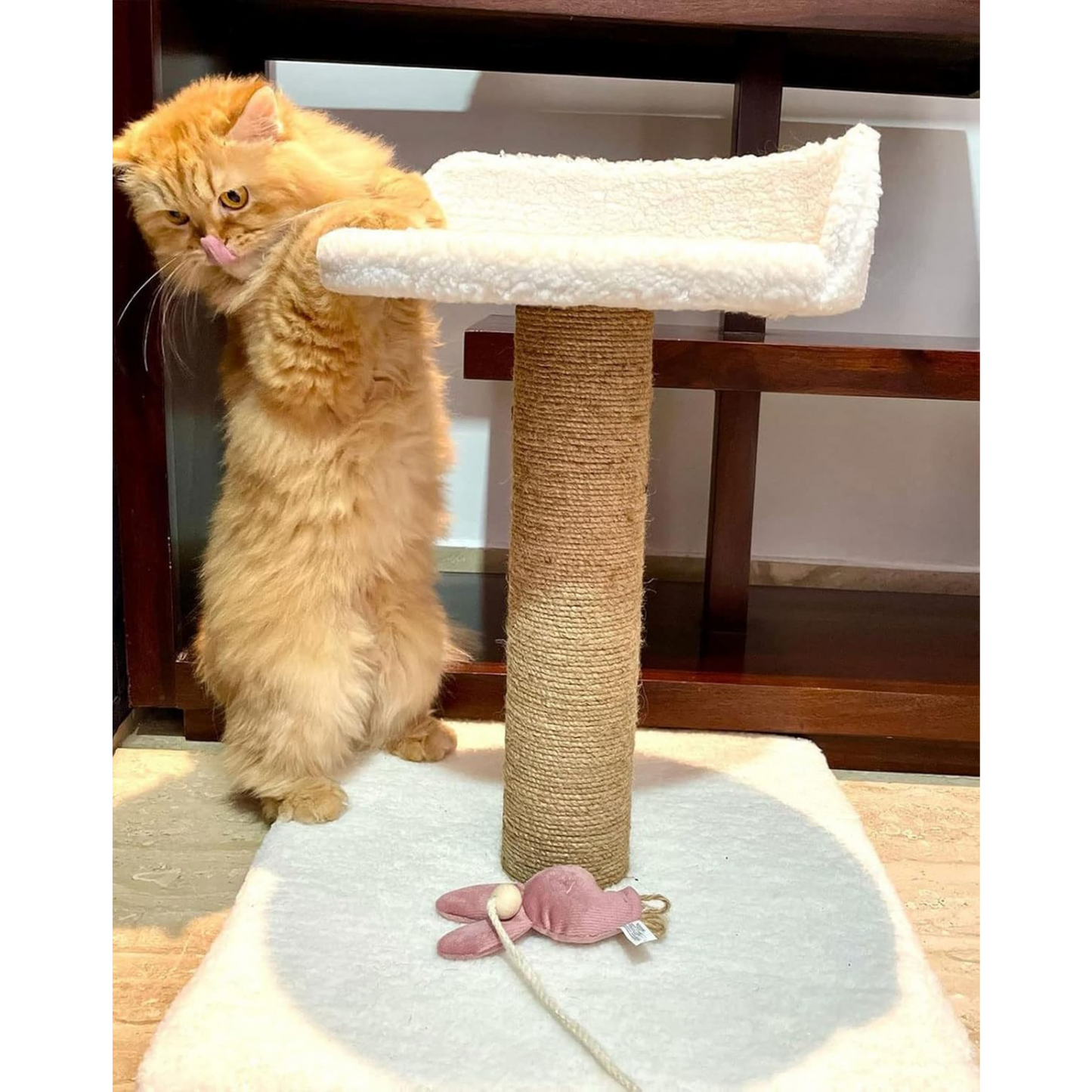 furrlovers Soft Fur Cat Scratching Post Activity Tree with Sisal Rope (White)