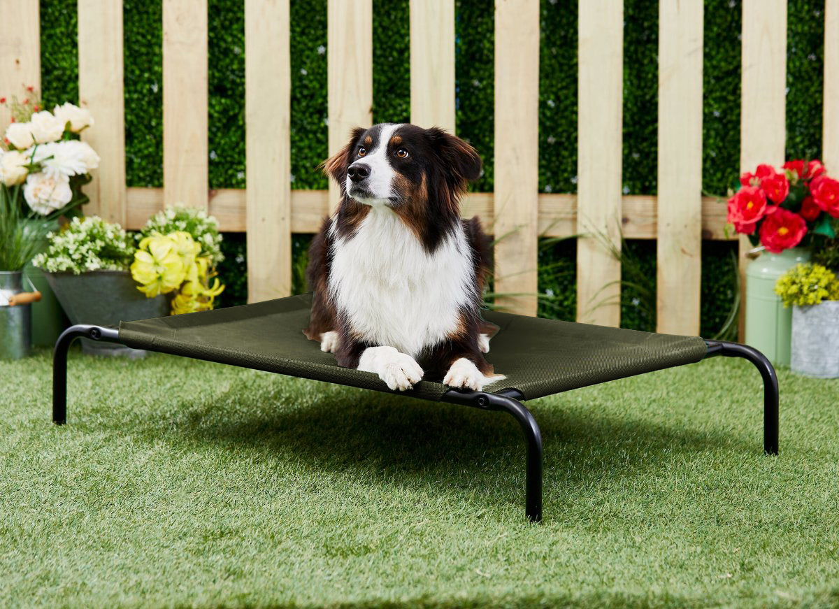 Green Elevated Raised Cooling Cots Bed for Dogs, Cats Portable Indoor & Outdoor Pet Hammock with Skid-Resistant Feet, Frame with Breathable Canvas Cloth. (GREEN)