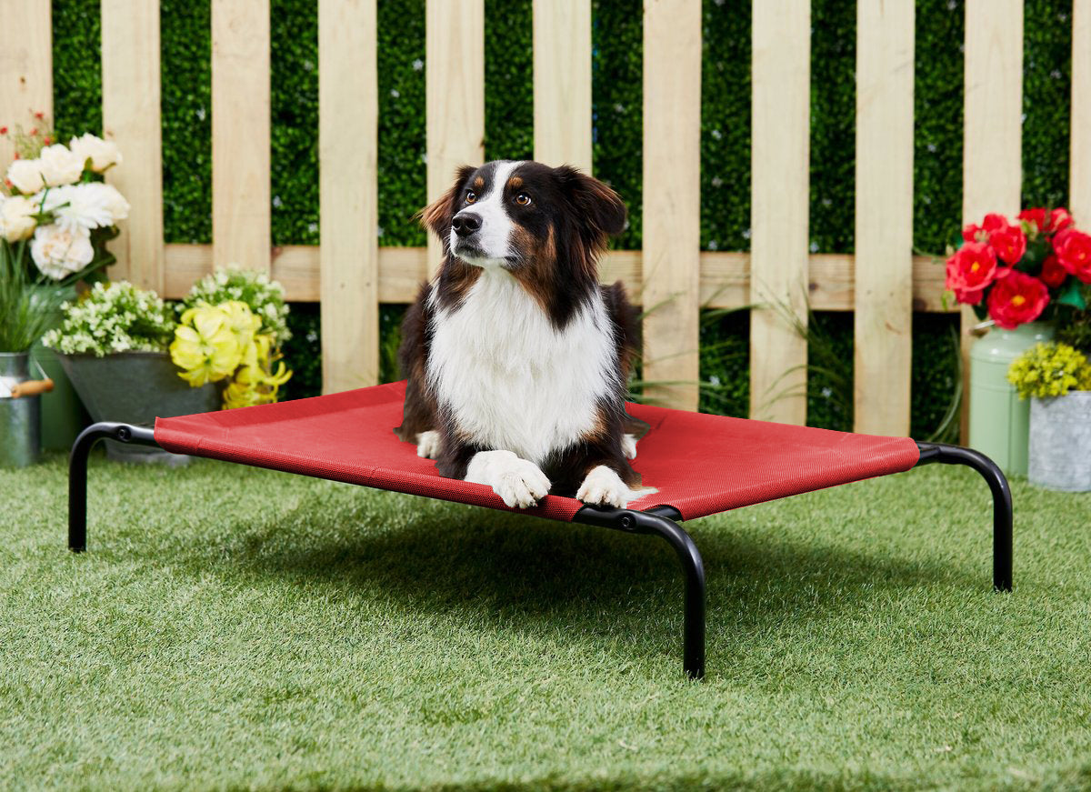Red Elevated Raised Cooling Cots Bed for Dogs, Cats Portable Indoor & Outdoor Pet Hammock with Skid-Resistant Feet, Frame with Breathable Canvas Cloth.