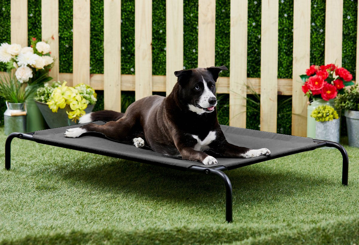 Black Elevated Raised Cooling Cots Bed for Dogs, Cats Portable Indoor & Outdoor Pet Hammock with Skid-Resistant Feet, Frame with Breathable Canvas Cloth.