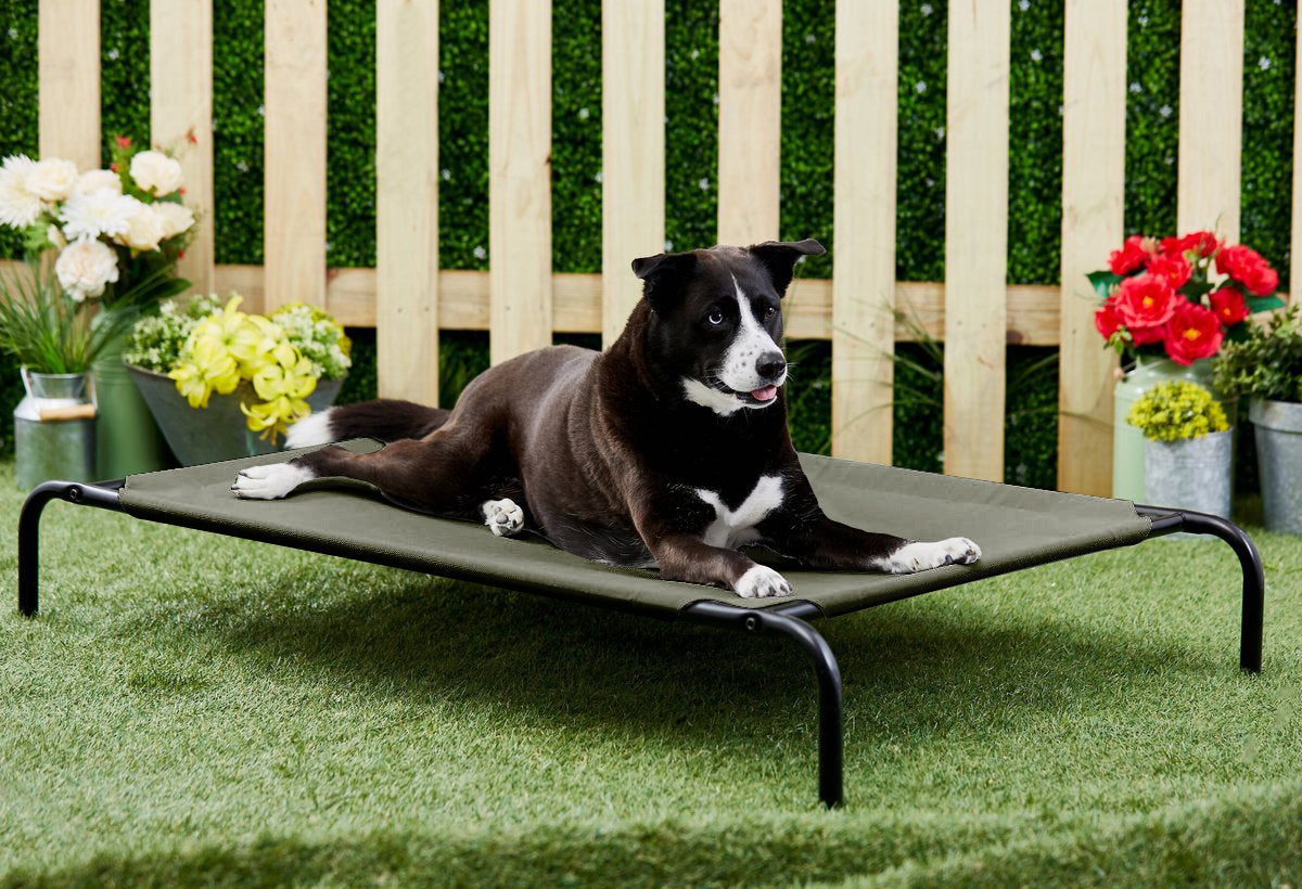 Green Elevated Raised Cooling Cots Bed for Dogs, Cats Portable Indoor & Outdoor Pet Hammock with Skid-Resistant Feet, Frame with Breathable Canvas Cloth. (GREEN)