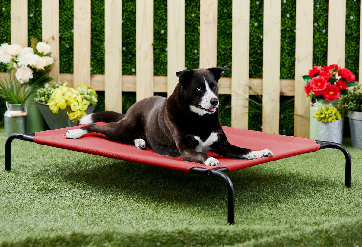 Red Elevated Raised Cooling Cots Bed for Dogs, Cats Portable Indoor & Outdoor Pet Hammock with Skid-Resistant Feet, Frame with Breathable Canvas Cloth.