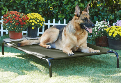 Green Elevated Raised Cooling Cots Bed for Dogs, Cats Portable Indoor & Outdoor Pet Hammock with Skid-Resistant Feet, Frame with Breathable Canvas Cloth. (GREEN)