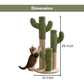 FURRLOVERS Cactus Cat Scratching Post, Green Plush, Cotton Rope, 25 Inch Height, Interactive Climbing Tower (FURR-002-CACTUS)