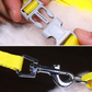 Adjustable Pet Harness and Nylon Leash for Dogs and Cats