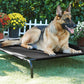 Black Elevated Raised Cooling Cots Bed for Dogs, Cats Portable Indoor & Outdoor Pet Hammock with Skid-Resistant Feet, Frame with Breathable Canvas Cloth.
