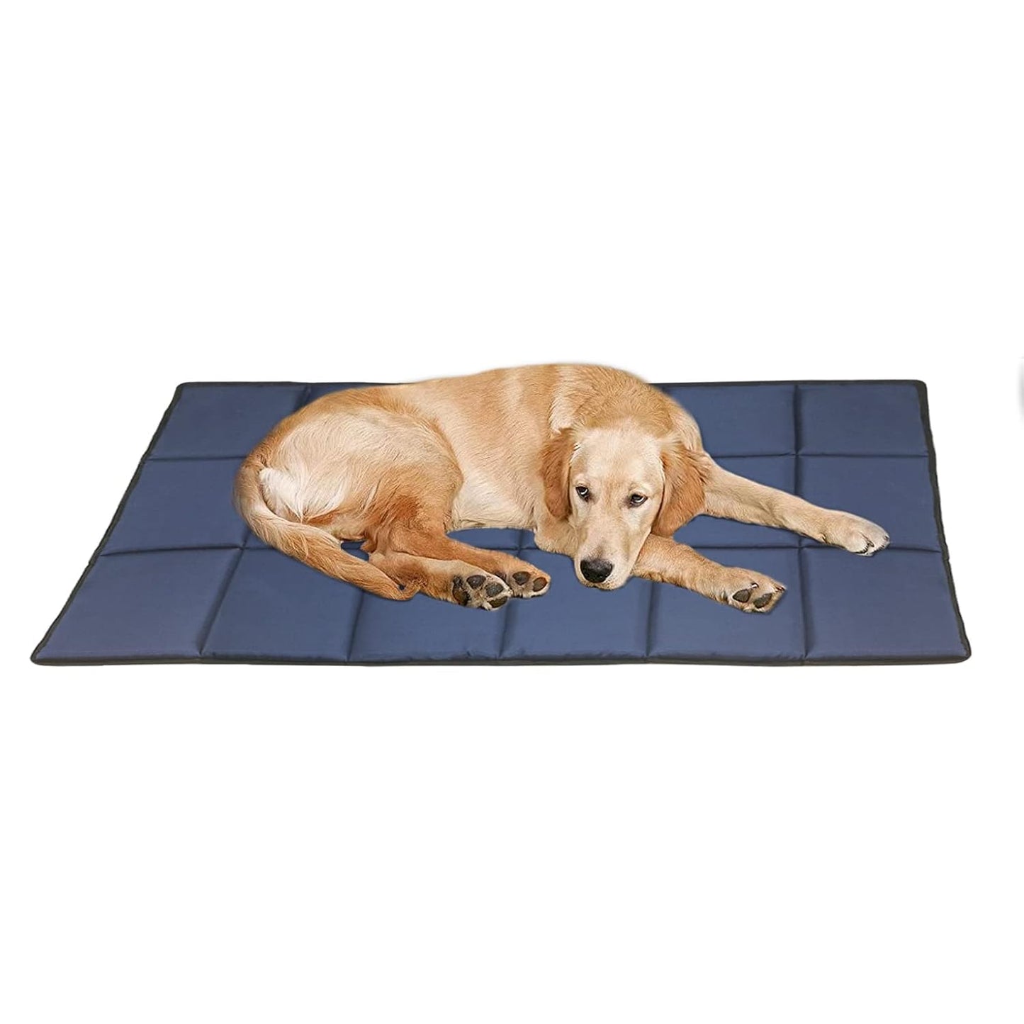 Blue Waterproof Dog Bed Mat, Comfort Pad for Indoor & Outdoor