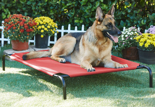 Red Elevated Raised Cooling Cots Bed for Dogs, Cats Portable Indoor & Outdoor Pet Hammock with Skid-Resistant Feet, Frame with Breathable Canvas Cloth.