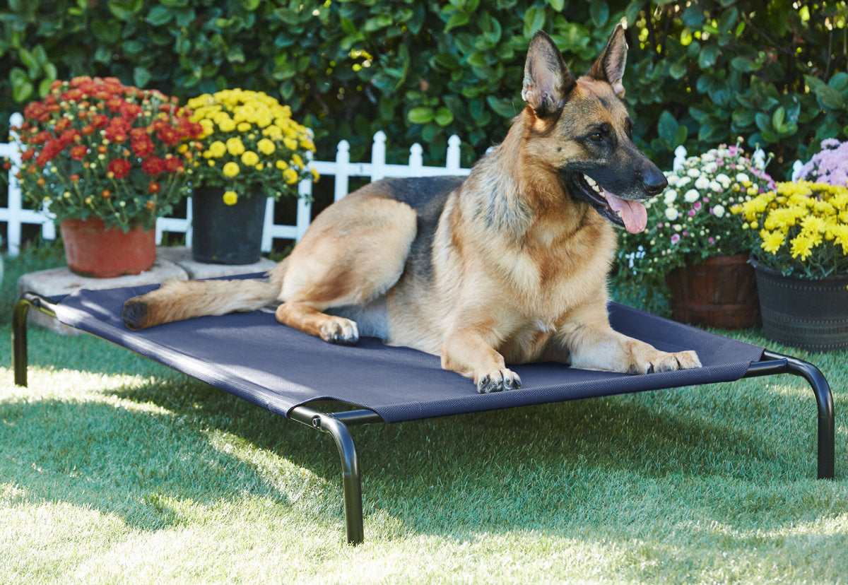 Blue Elevated Raised Cooling Cots Bed for Dogs, Cats Portable Indoor & Outdoor Pet Hammock with Skid-Resistant Feet, Frame with Breathable Canvas Cloth.