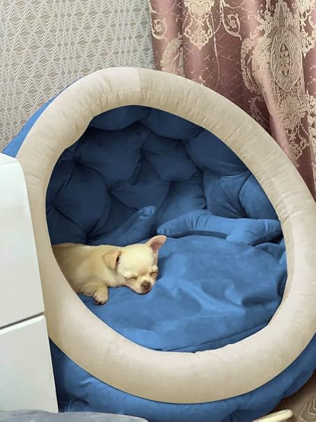 Stylish and Cozy Blue colour Dog and Cat Hut