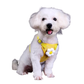 Adjustable Pet Harness and Nylon Leash for Dogs and Cats