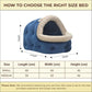 Stylish and Cozy Blue colour Dog and Cat Hut