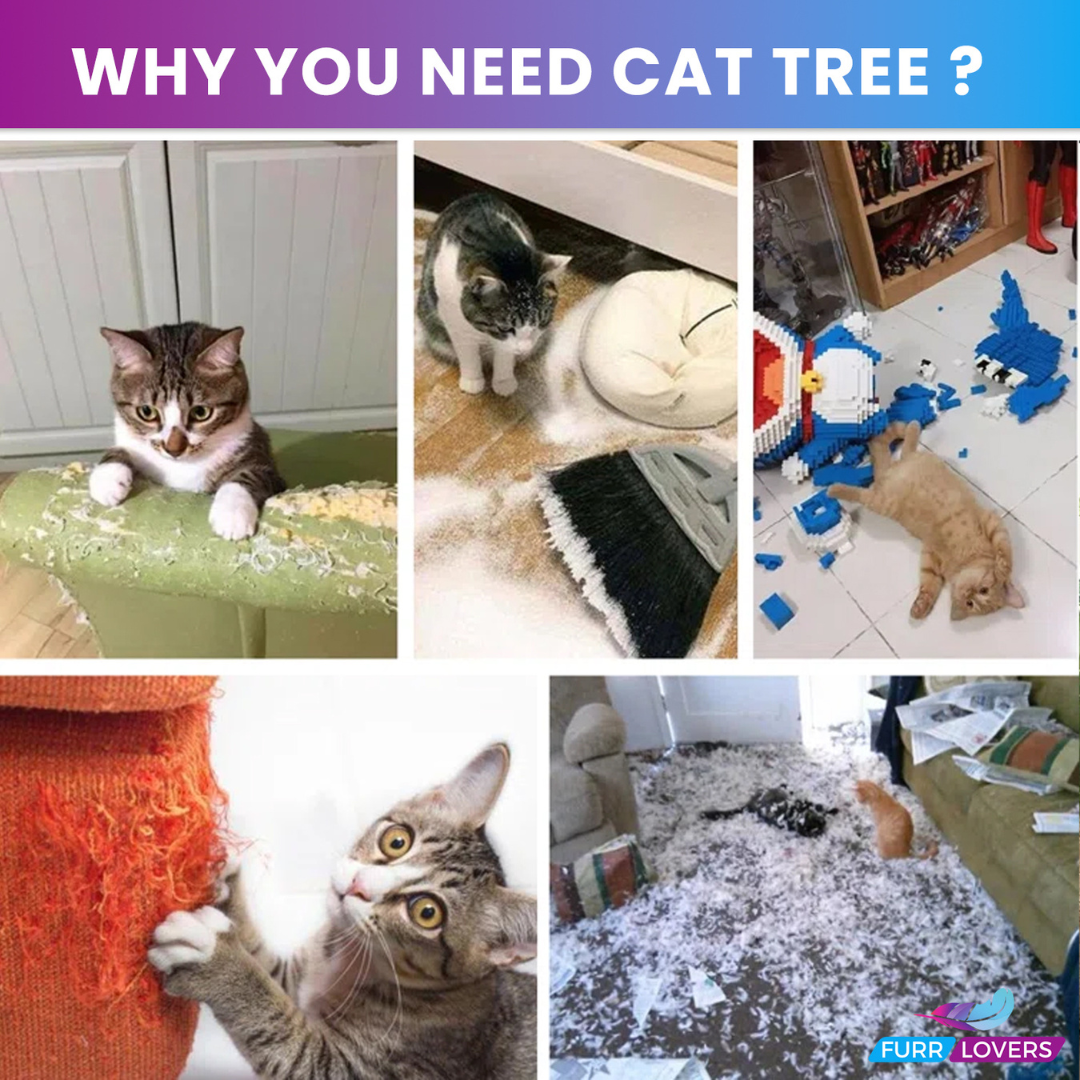 Plush Fabric Activity Kitten Cat Tree - Condo | Hammock | Jute Rope Scratching Posts | Furry Ball | for Small Cats & Kittens