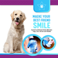 Pet Grooming Deshedding & Massaging Glove for Dogs & Cats, Gentle Hair Removal with Breathable Mesh