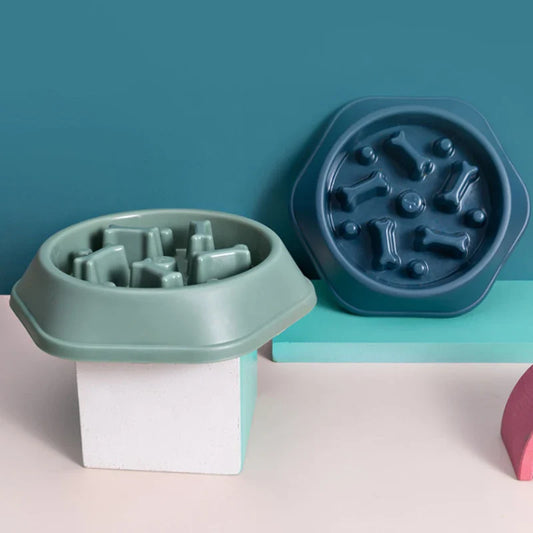 Slow Feeder Bowl for Dog with Non-Slip Pet Feeding Base 