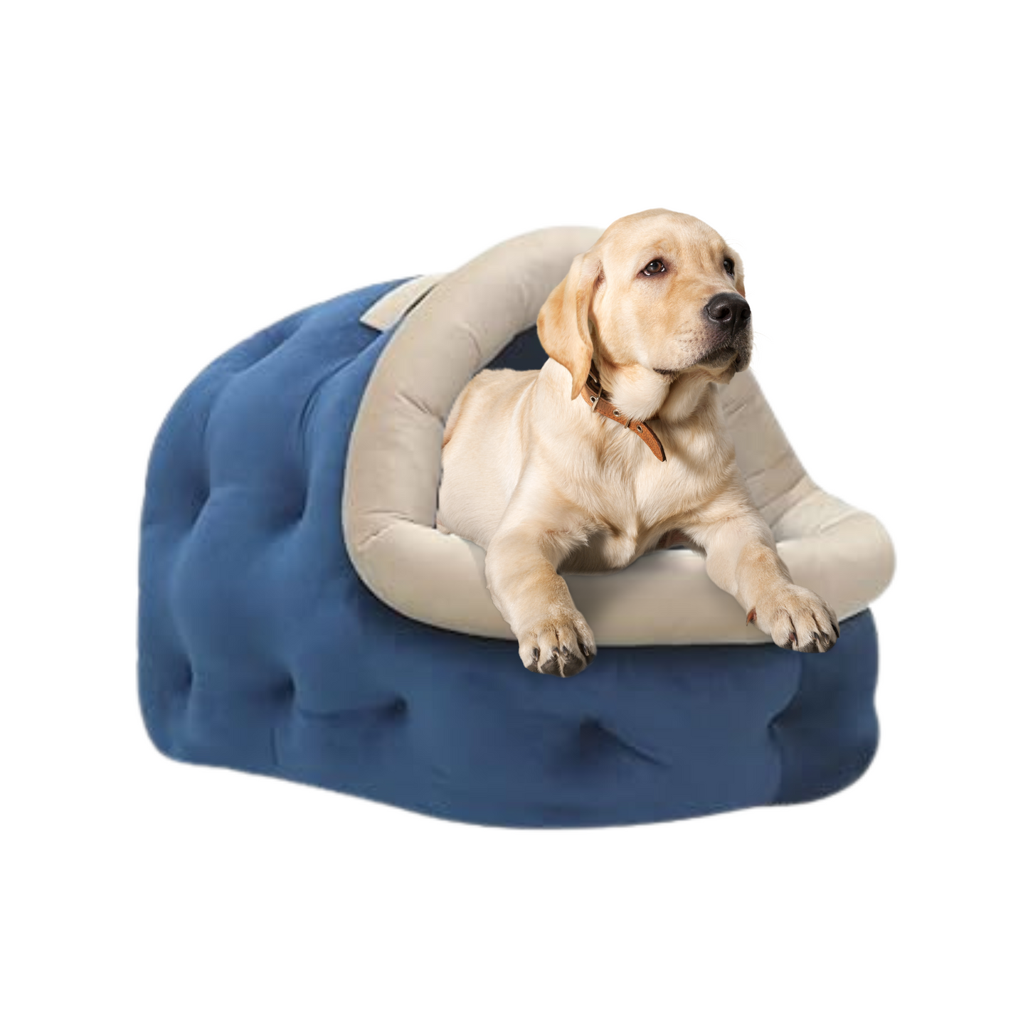 Stylish and Cozy Blue colour Dog and Cat Hut